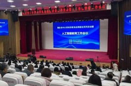 �����ӽ��Ј���ʾ�����F���БcAI�������_�˹����ܽ���������